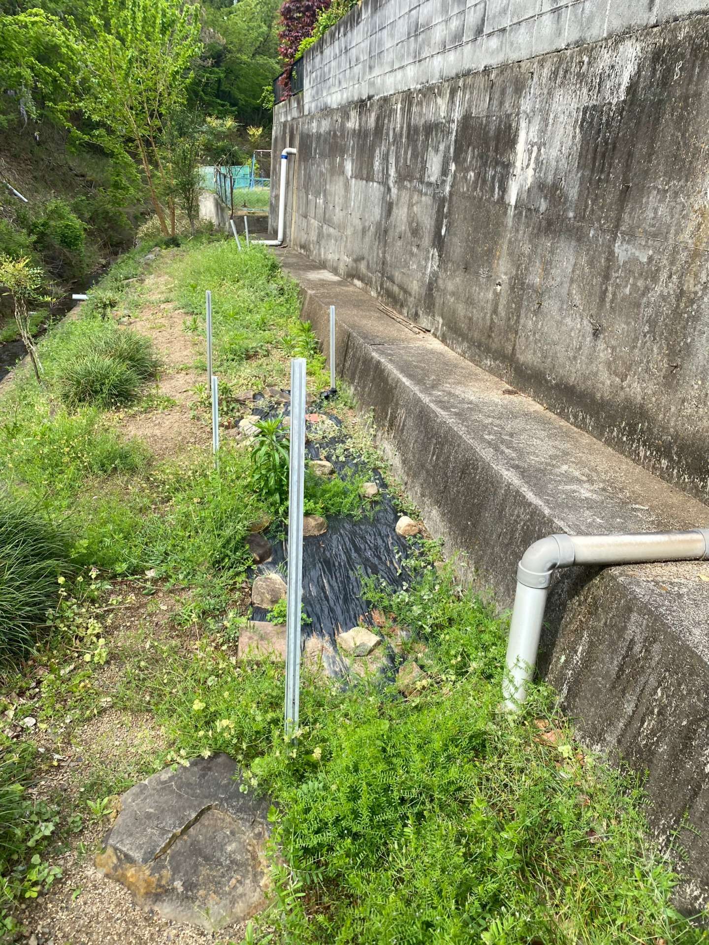 除草作業・前/甲府市