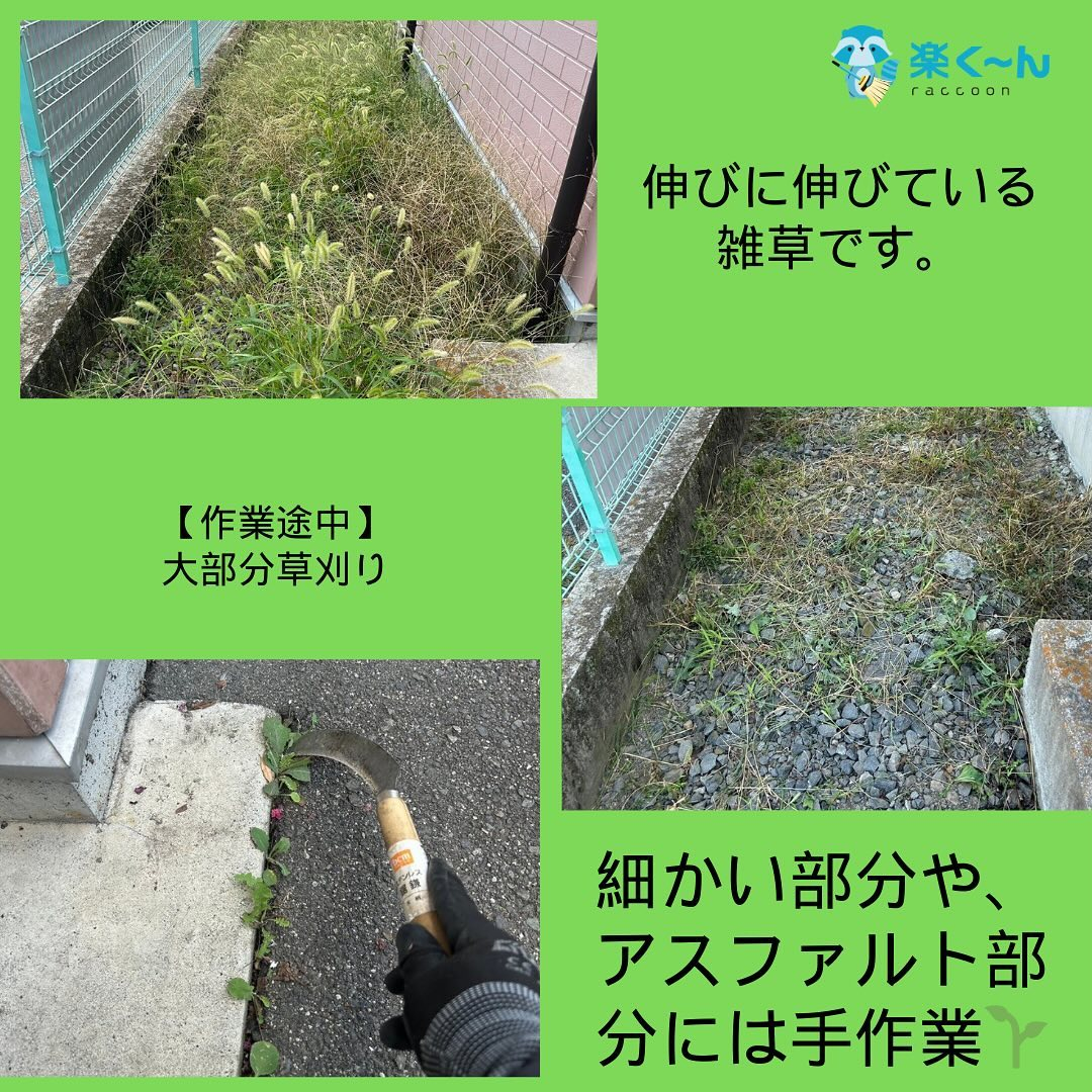 甲府市のアパートにて外構の草刈り・除草を行いました！