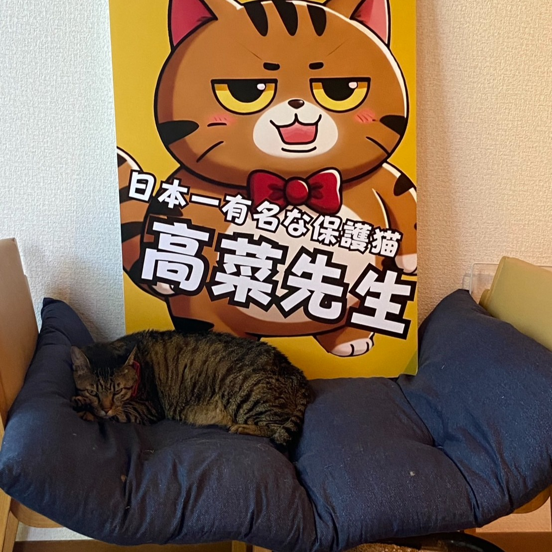 🍧【甲府市 子ども向けイベントに参加しました!】