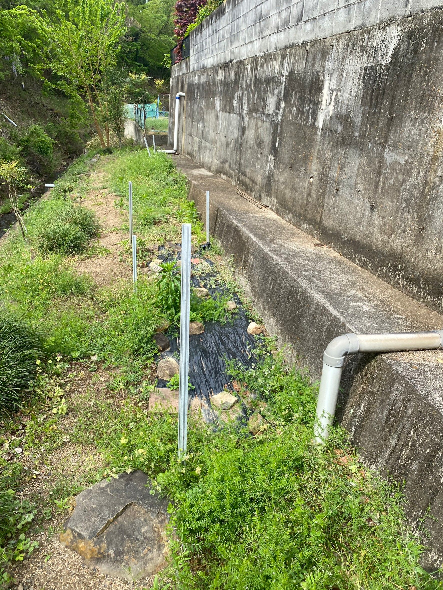 甲府市　除草作業