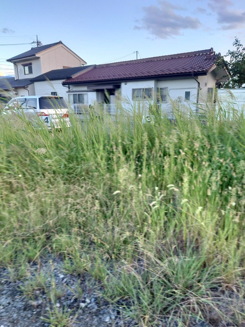 昭和町のパーキングにて草刈りを行いました