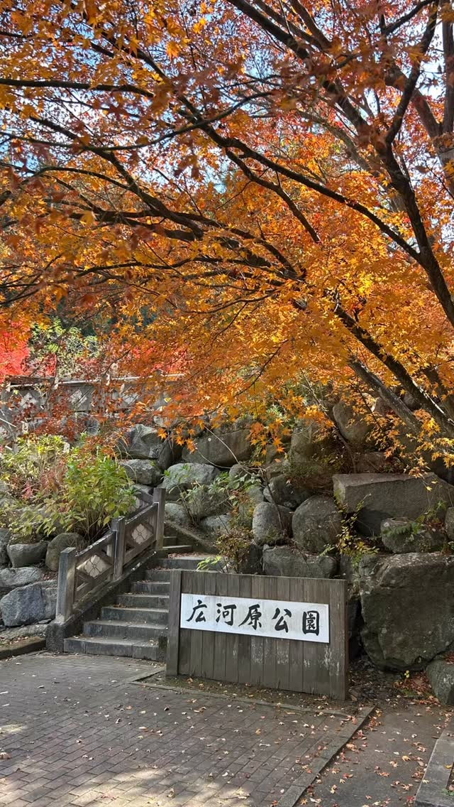 🍁🚗✨今日は 道の駅甲斐大和 に来たラク〜！