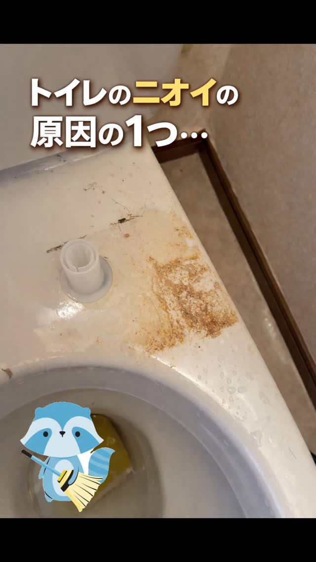 毎日使うトイレ🚽✨