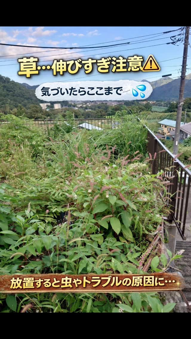 今日は草刈りしてきたラクよー🌱✨