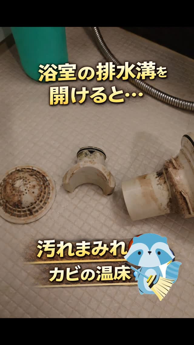 今日は浴室の排水溝を分解してキレイにしてきたラクよ〜🐾✨