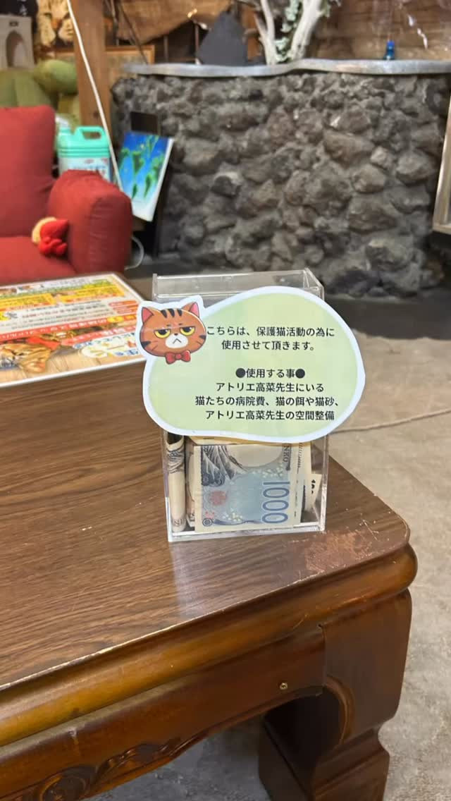 今日はアトリエ高菜先生に遊びに来たラク〜😺✨