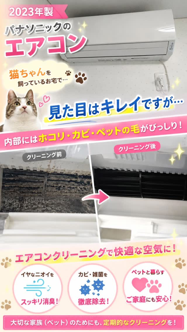 猫ちゃんと暮らしているご家庭のみなさん🐱💕